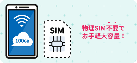 クラウドSIMでお手軽大容量
